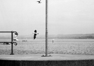 Bodensee