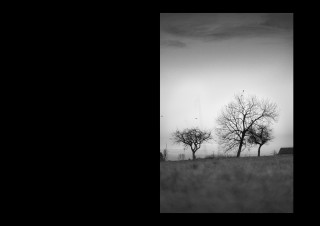 Heimat