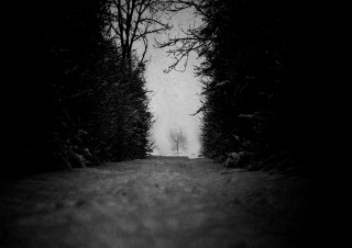Heimat